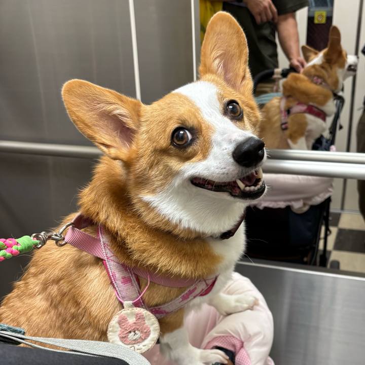 E6f32f78 4954 4cba 8e9d d488bf7ce58e 1757812772956