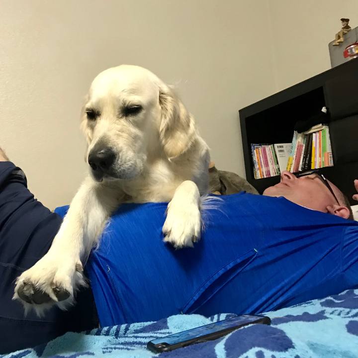 E6f33089 2547 4219 8a3d 61ba85230c89 1550277354820