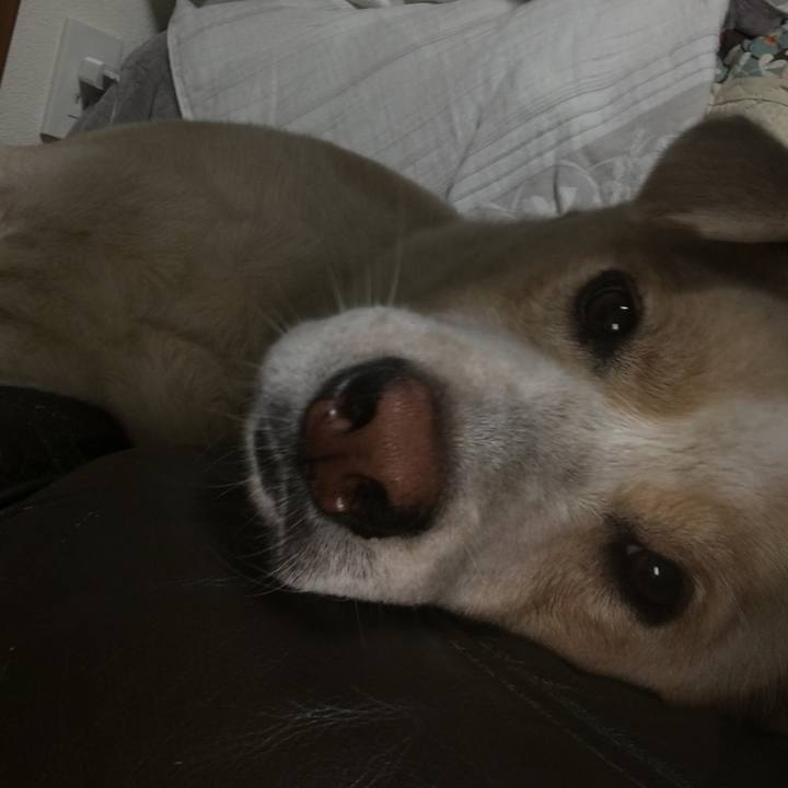 E6f35ee8 d026 4526 8cd5 e09593a8af72 1537969261749