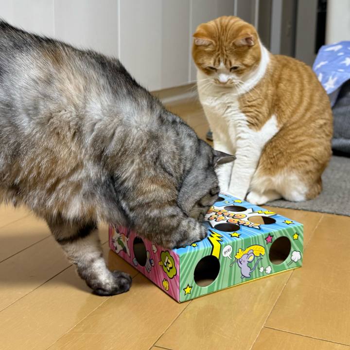 E6f37f2b f1c8 410a 827d eda131b2059a 1768224812490