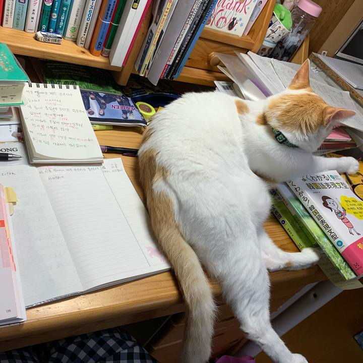 E6f38bab e65e 4a54 b12c 636fa250771d 1588544634075