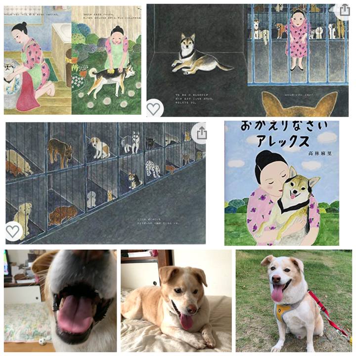 E6f3cc31 e04f 4d19 911f 7fe1934e33b3 1591759443516