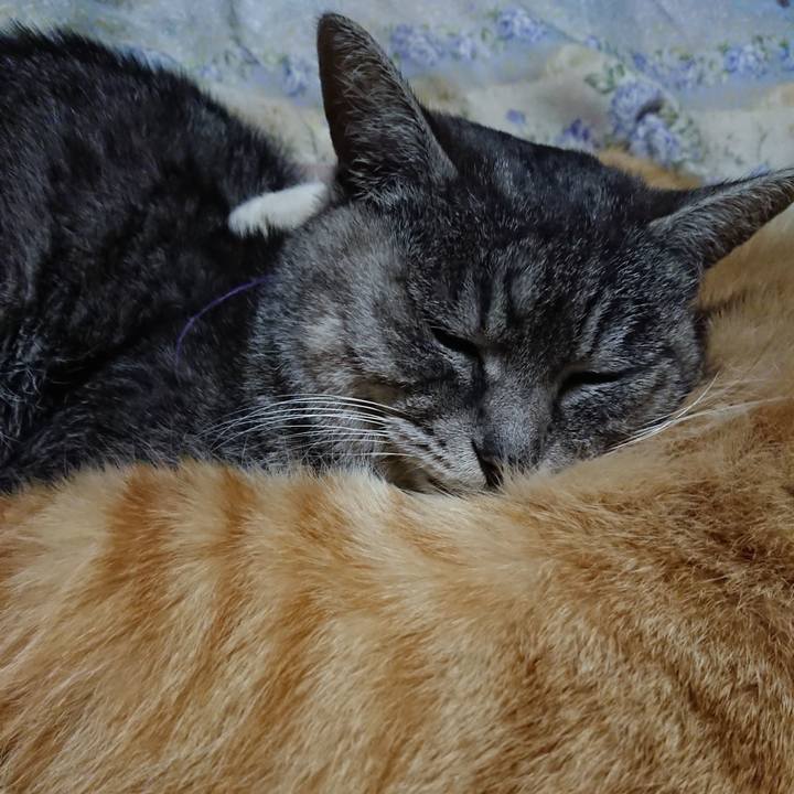 E6f3d230 c8ad 4d64 845a 3d3b549cc125 1582027763819