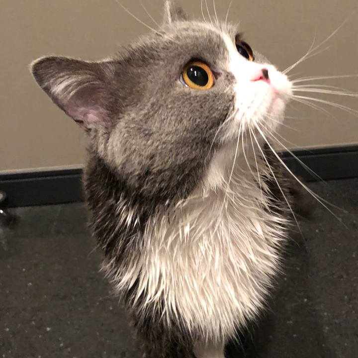 E6f46ae8 4fbc 4567 86c6 d4aaae4c6144 1524726202847