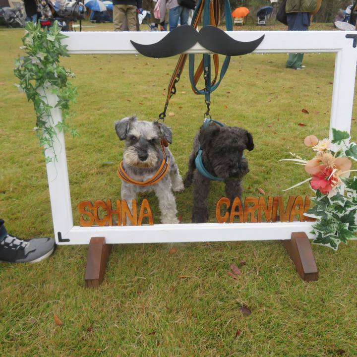 E6f484e3 7a03 467f b192 85982174096f 1700350311056