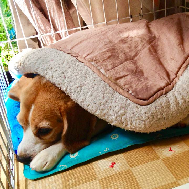 E6f4971a f36d 420e b645 e168fe68e45b 1751607334787