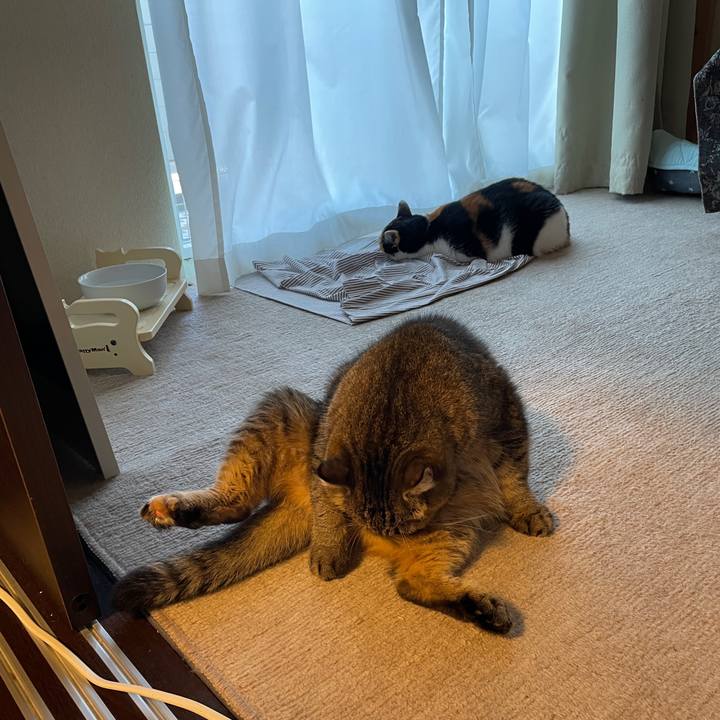 E6f4bd70 f164 4990 a3c1 0fd9d0cc7e71 1727132291160