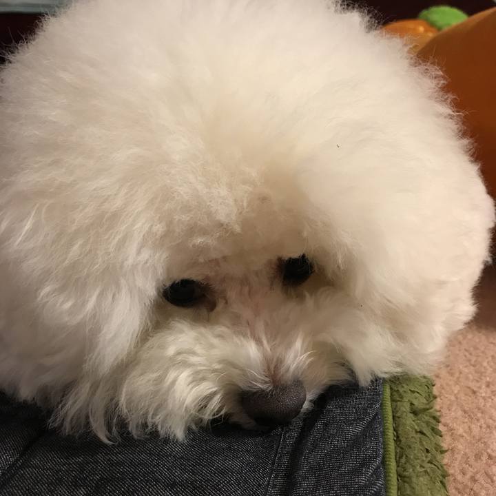 E6f4be1d eb88 4266 a634 08ef505d9773 1532338345704