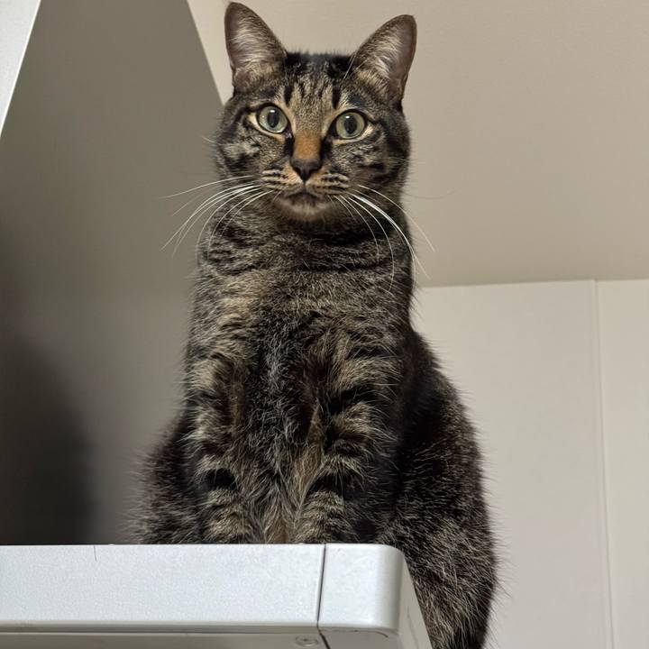 E6f5072f 7288 471a aaa8 08cd3a067694 1734694743370