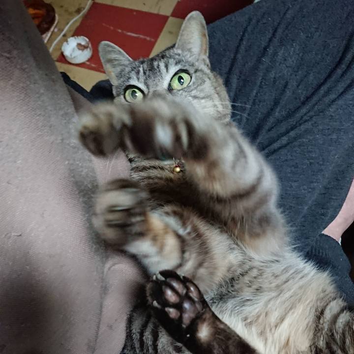 E6f5177b 2c8f 4ea0 b333 961722438f24 1560551844825