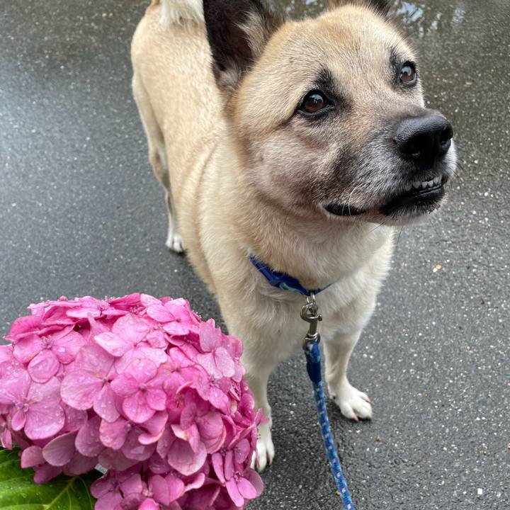 E6f5285e 0f9d 4782 92d9 08d41b1c820b 1687957562947