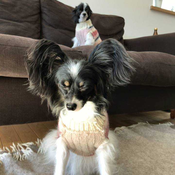 E6f52fcd 4d4c 4fab 96f0 1d5644683776 1517914958754