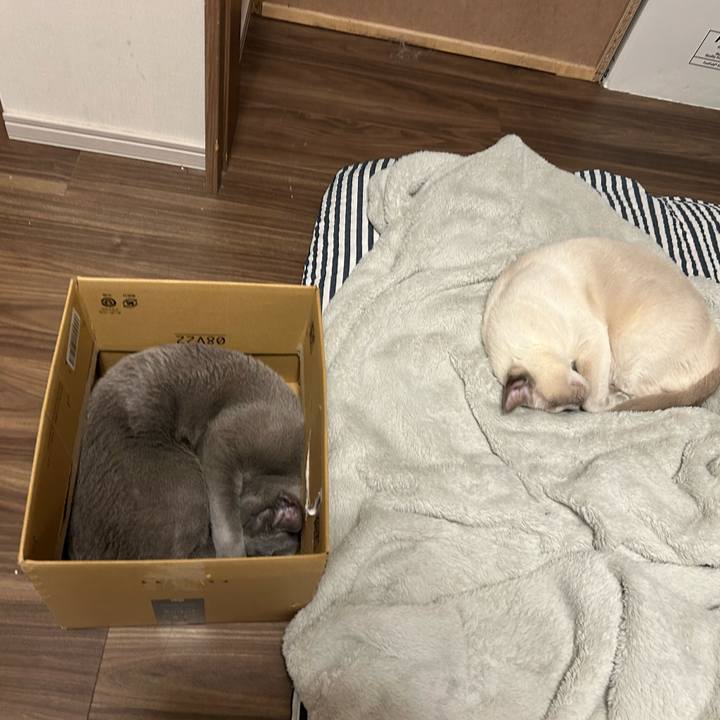 E6f55149 c87c 4572 b36f 03b720ccf5f5 1737289648439