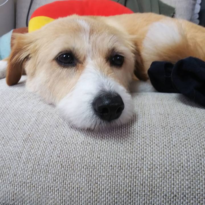 E6f55d08 8f02 4e56 b1a3 e2b95d79b794 1560597962453