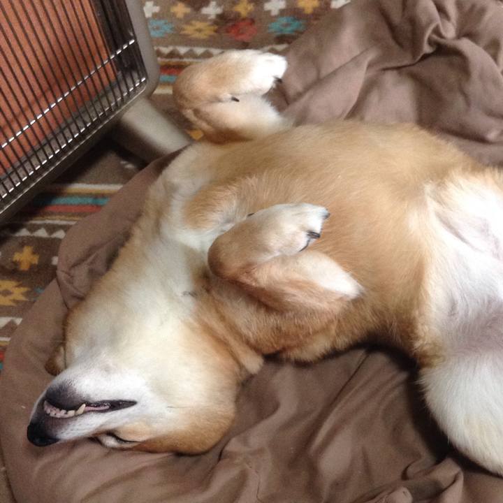 E6f56e61 b330 4a47 a359 bccc73ffc2f9 1544334001085