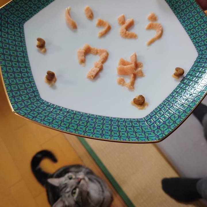 E6f58523 7d3f 454f a73d e62fa5378677 1647604554354