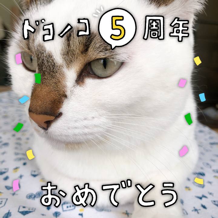 E6f5998f 96c3 4bd4 8ad0 1cfb4292c280 1623473803455