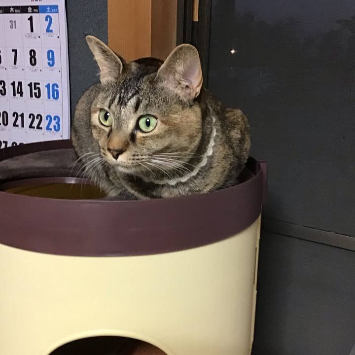 E6f5c26e 7731 4381 8f0f 68f777e36b98 1649584550333