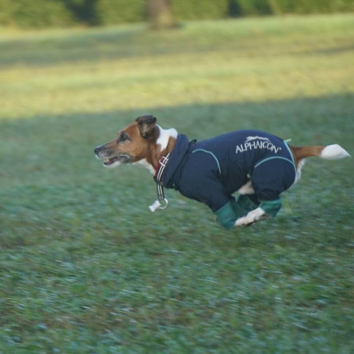 E6f5cb59 047e 43fa b15d 7169270ae84b 1572392359846