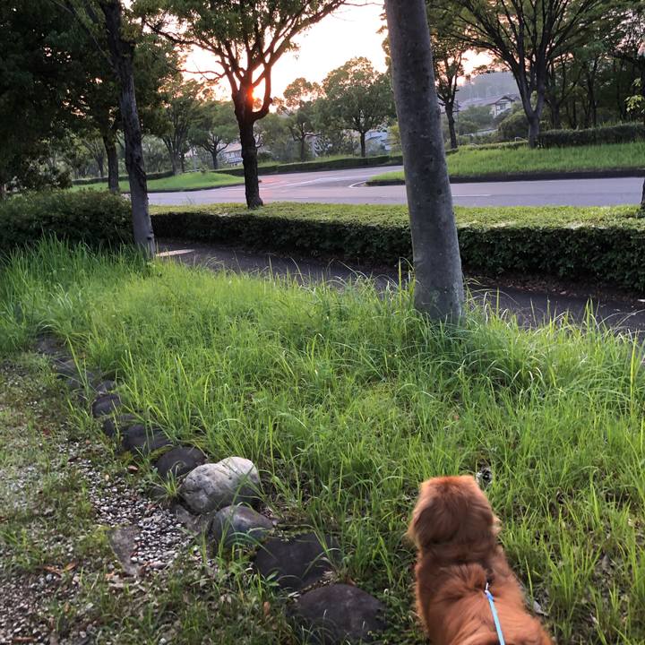 E6f5d5b1 cf0d 4975 a07a ab798e335df2 1564520978671