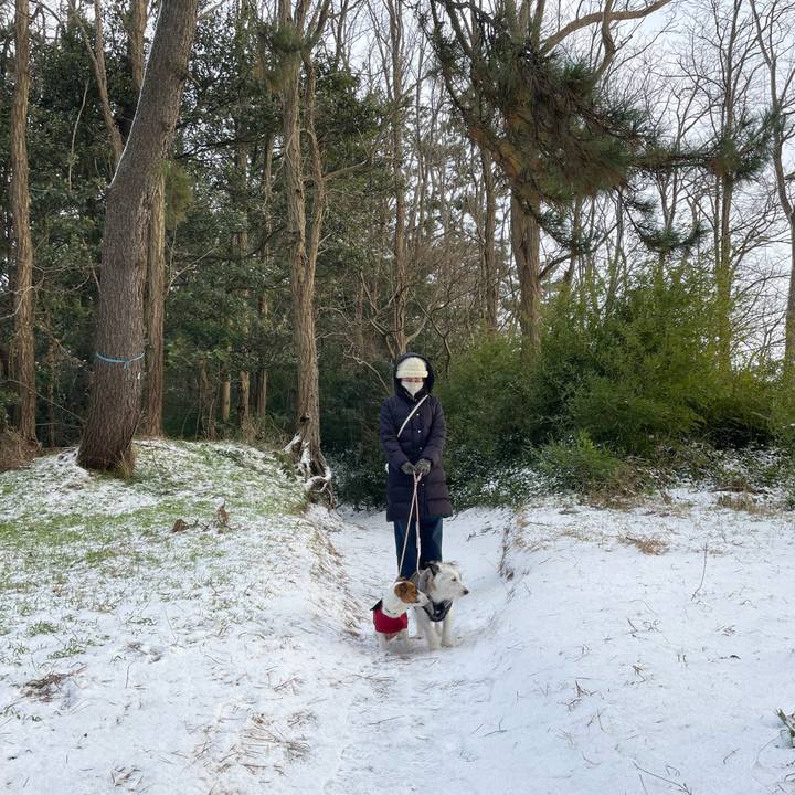 E6f60fbd a162 4634 b4ea 612d212b1481 1640996862014