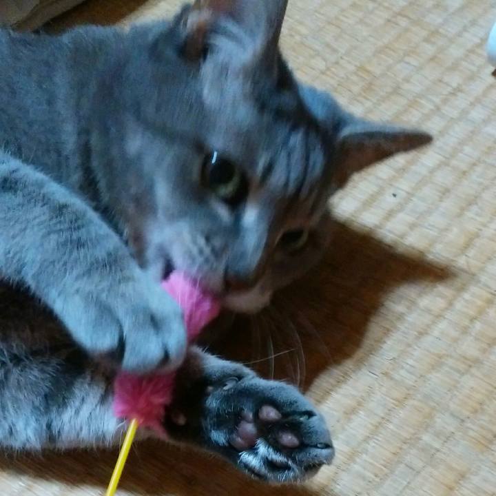 E6f61f4d fdd2 43df bc1e 6dd254841888 1554653208069