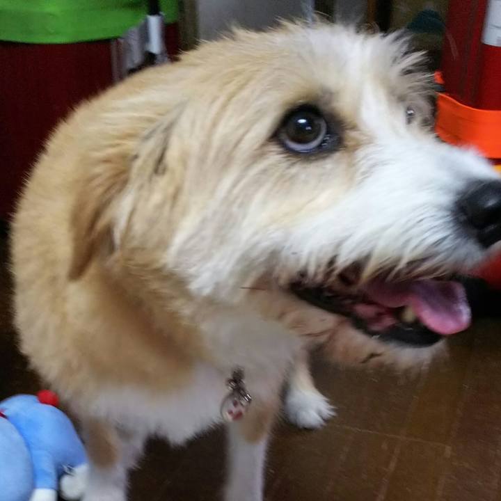 E6f63614 9272 4a7a b502 e9756cb499dd 1532503163036