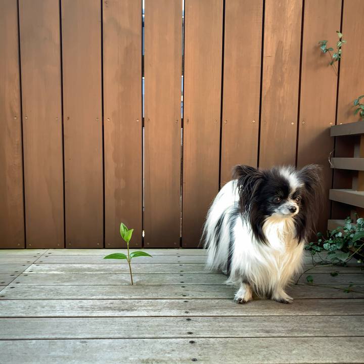 E6f6443a d2cd 4928 8908 7e2eb719411e 1584486716069