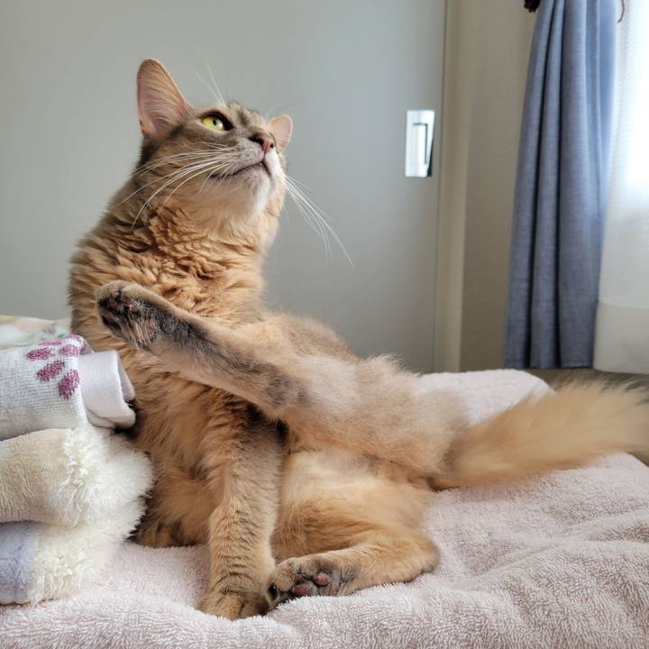 E6f67061 e709 4ec3 ae77 a5740e8b10f8 1693455074753