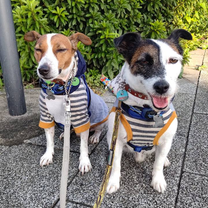 E6f676cb 2b82 4e32 9e82 8ae4eccc4bd6 1632348686287