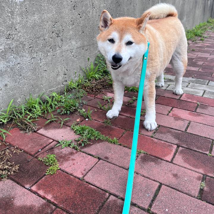 E6f69d18 2762 4357 aa45 eb86ecefed96 1715640944000