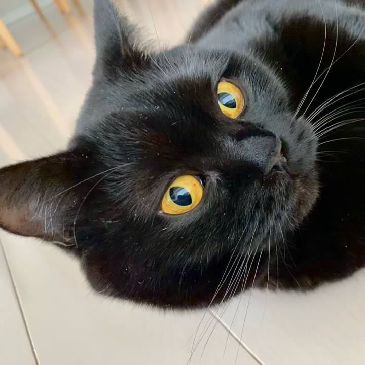 E6f6ad9e a517 430c 81f2 d3f952506f82 1640559119752