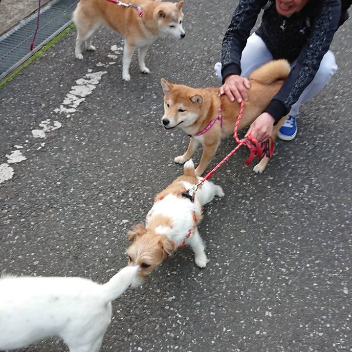 E6f6b014 8cdc 4d3a a982 281911cab13c 1523920703356