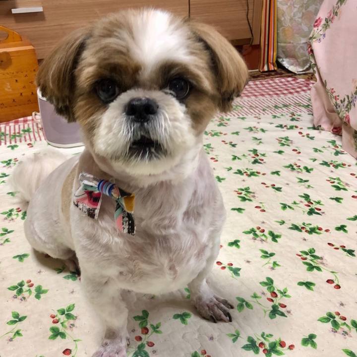 E6f6d43c 0486 42cc a788 72b58cfd9aa0 1535768214740