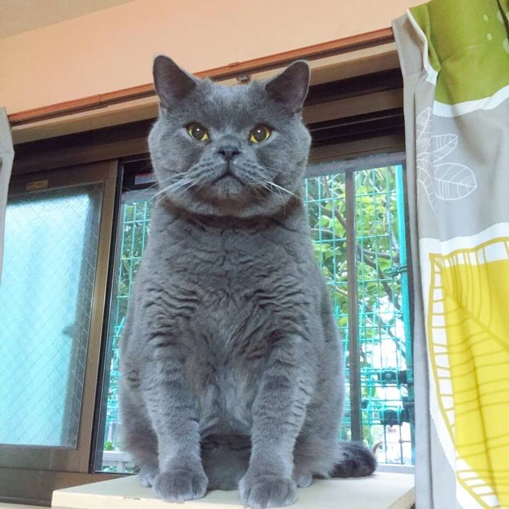 E6f6dce5 fb1b 45bc 9d5b 00b9de5dc7f4 1773479715952