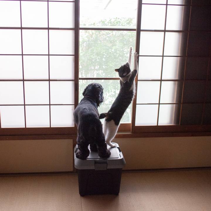 E6f735cf b1af 4821 b5b1 8e60e059a905 1572050708229