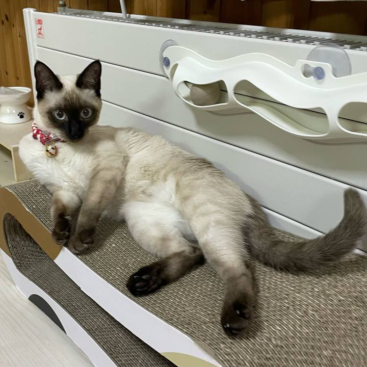 E6f7462f 3ae4 4dd3 a5bd 00bbe5b0b991 1701890198569