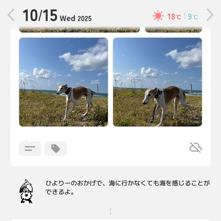 E6f7cb63 1361 4cd4 b0e3 795bebf0bef8 1760516692357