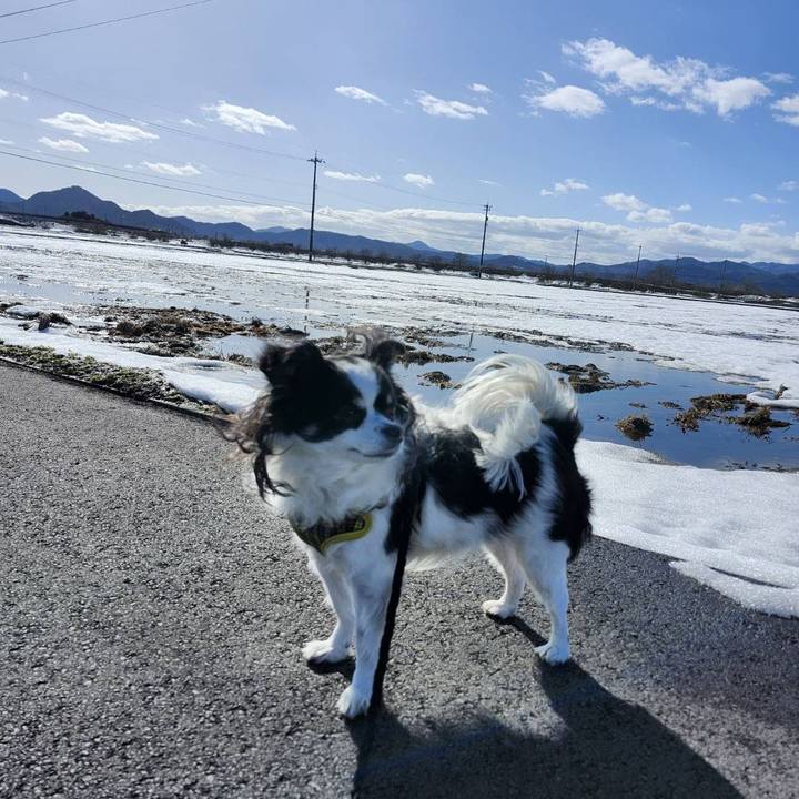 E6f80884 081f 4f63 9e7c 090acc192080 1771543345333