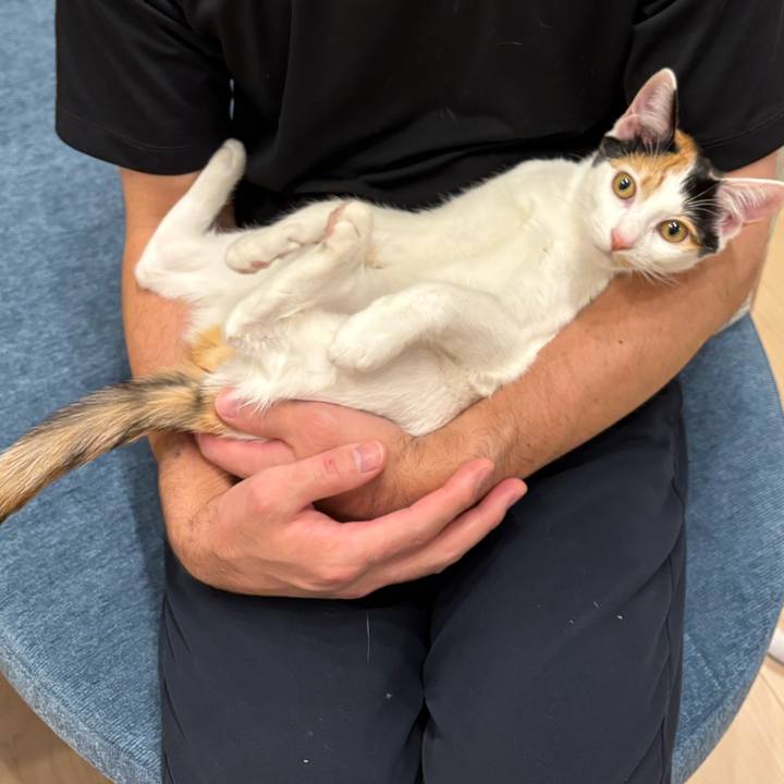 E6f82088 68e0 4ccf 9e53 39e21b20a160 1762688578424