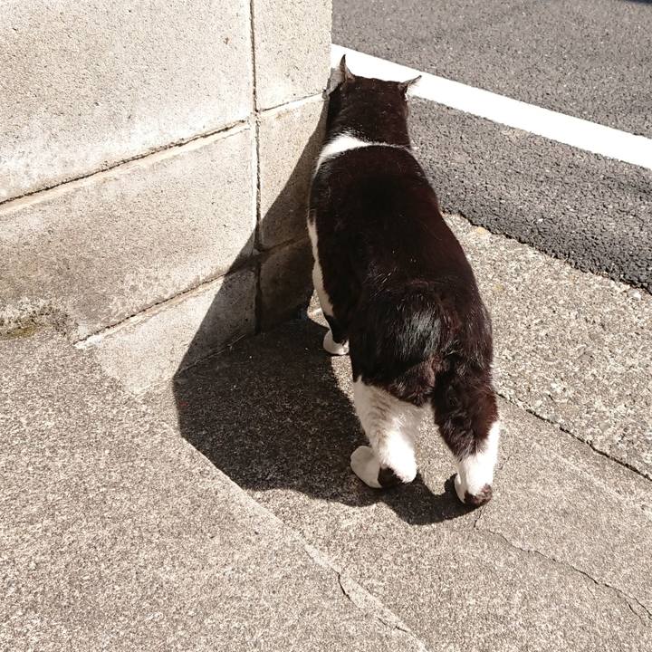 E6f87979 eb37 4599 8c57 031b32ae0c66 1647051479367