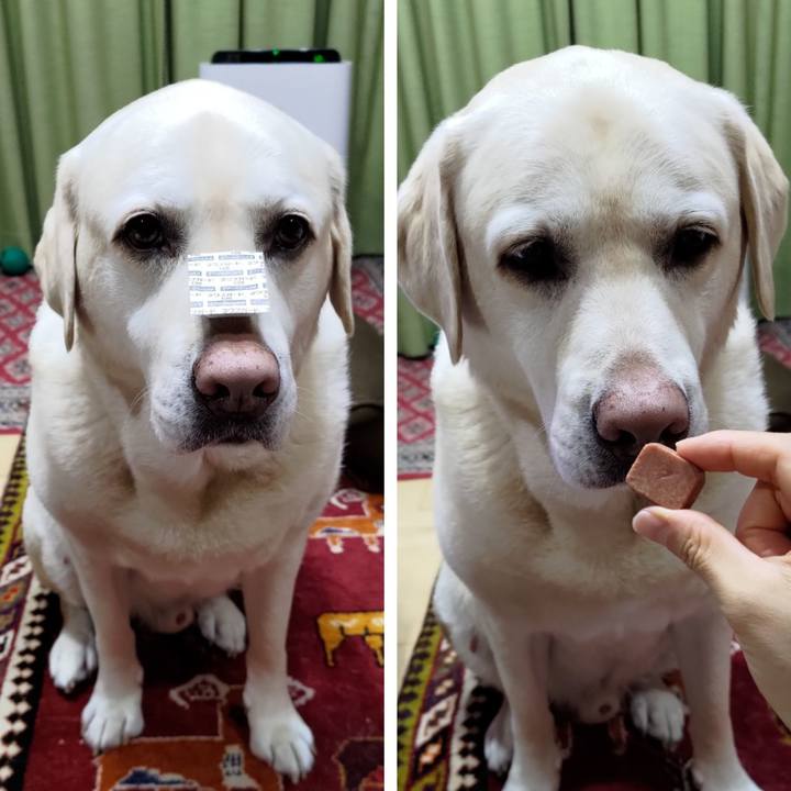 E6f89ba2 6ffe 4f00 b677 b85b50c075aa 1712227673855