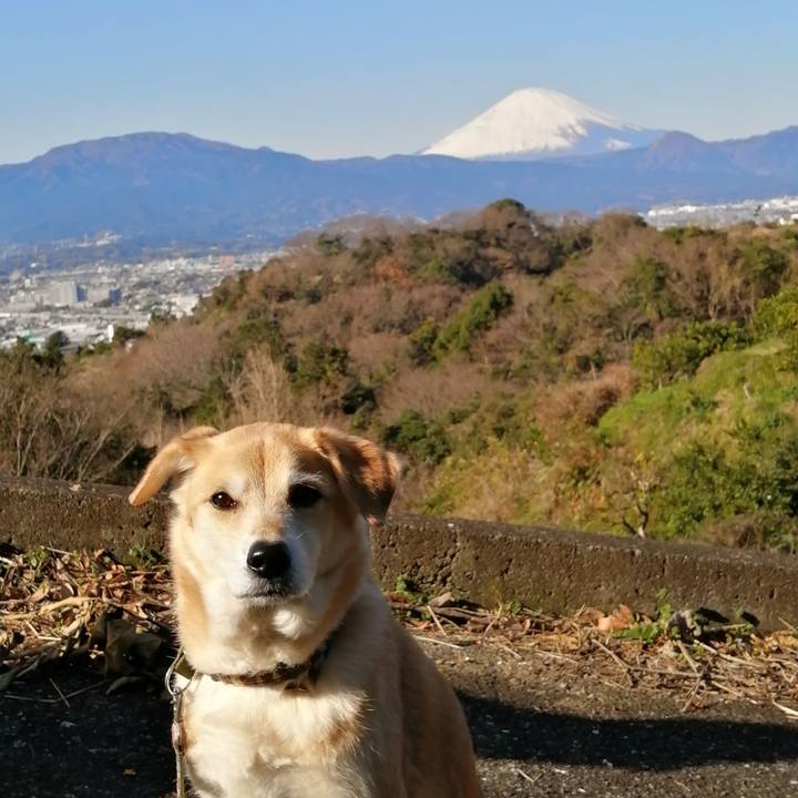 E6f89c9a d518 460d bcc1 128bc6464879 1578039208908