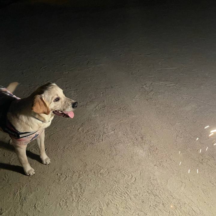 E6f8a8c2 e62b 44a5 8b71 51bfb35d0495 1627220075955