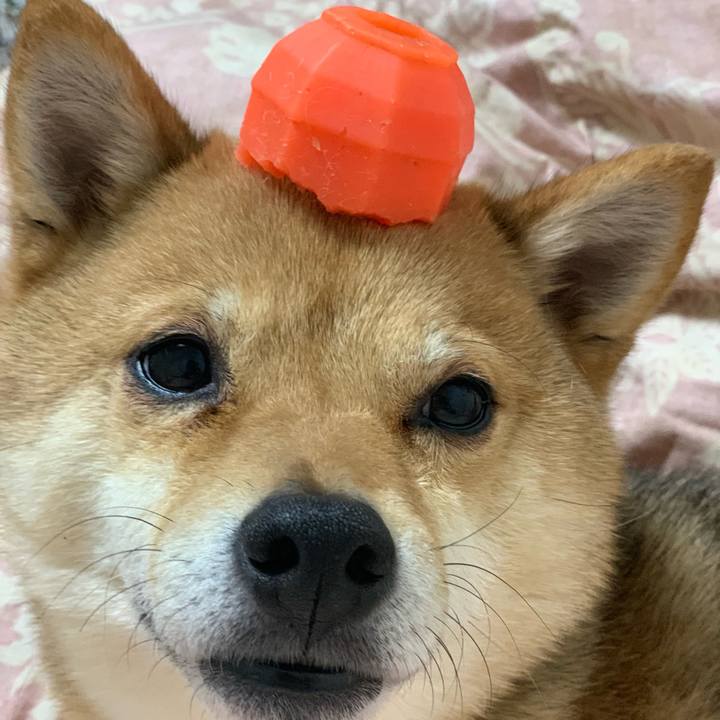 E6f8aa19 233f 4c67 96ee 93b671b844b3 1742307837992