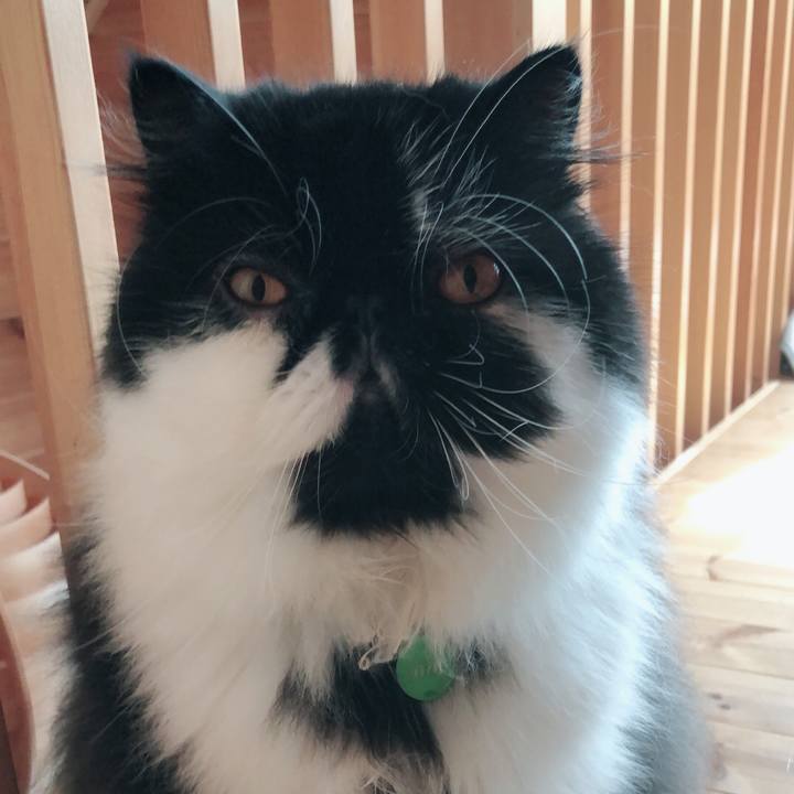 E6f8cbe1 6ba8 41dd a0f8 ecfc6fccb7cd 1539854770272