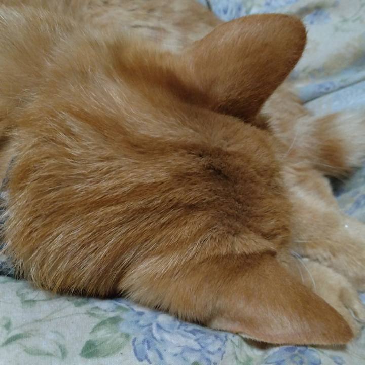 E6f9099f faf2 4f99 b554 e8012e9f7c3e 1666183239569