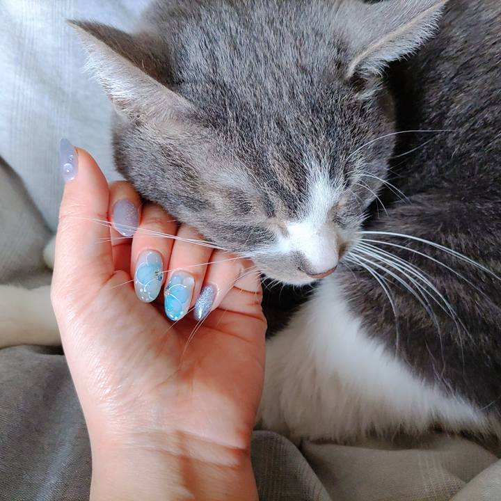 E6f9254e 00c2 4810 b931 f1162137f181 1682422308835