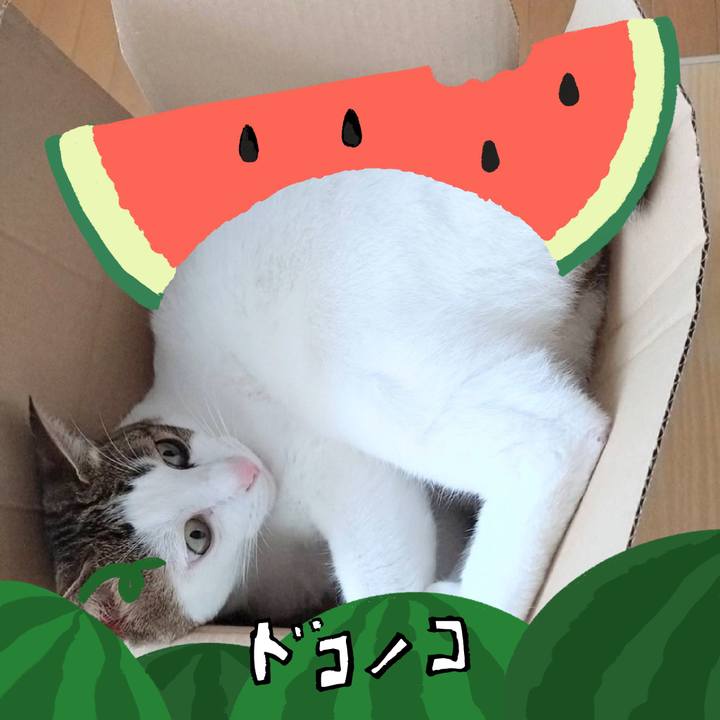 E6f936f0 137a 4c94 9afe 0dd7deb60314 1721010333512