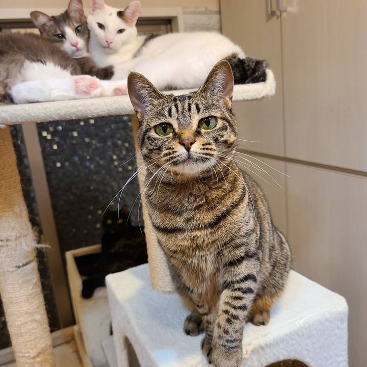 E6f97d04 718c 41d5 aa24 286e6e8686c0 1601806388360